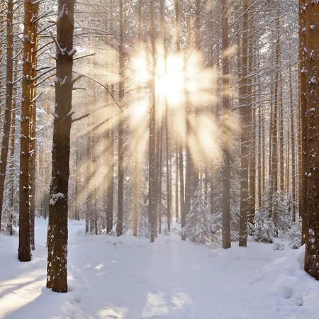 Kaisers Tanne - Premium Alles Inklusive 4*