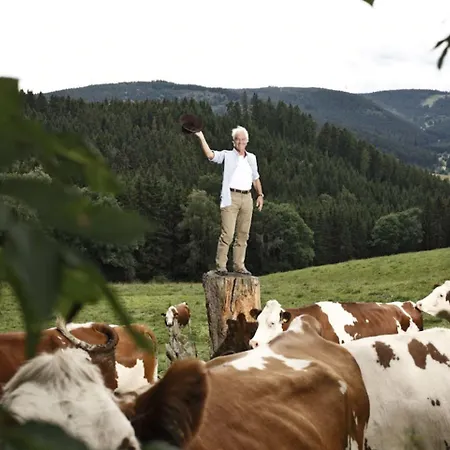 Kaisers Tanne - Premium Alles Inklusive Hotel 4*